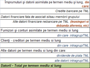 PASIVUL - Datorii TML