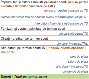 PASIVUL - Datorii TMs